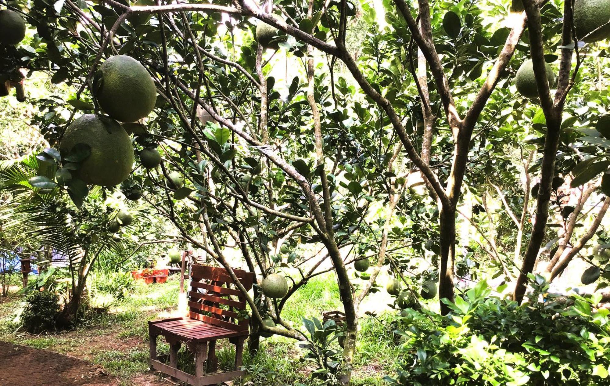 Ben Tre Farm Stay ภายนอก รูปภาพ