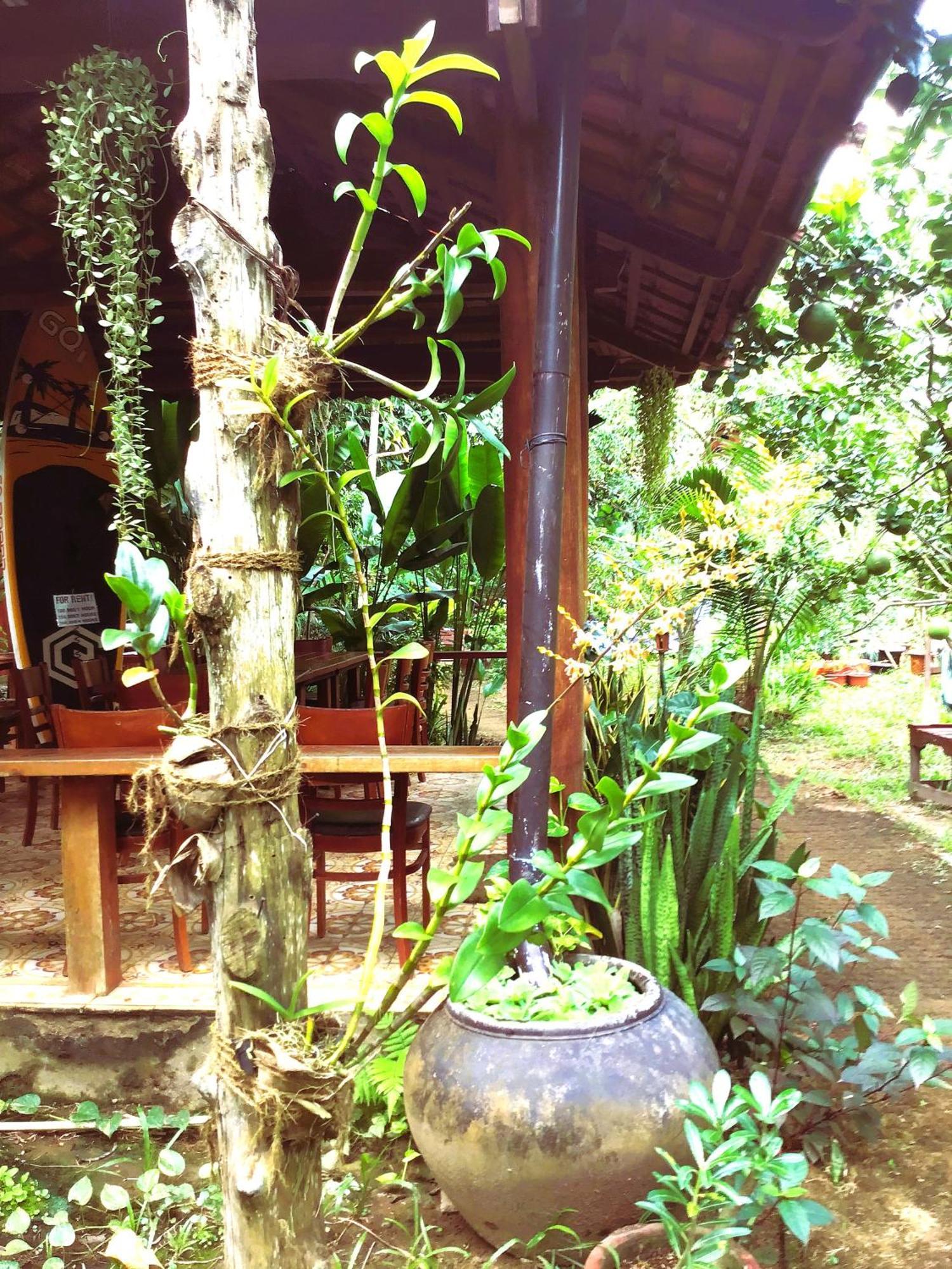 Ben Tre Farm Stay ภายนอก รูปภาพ